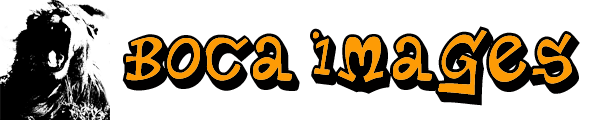 Boca Images